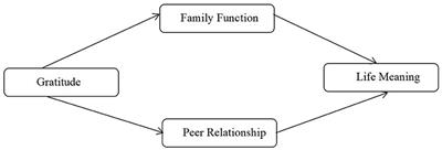 The Influence of Gratitude on the Meaning of Life: The Mediating Effect of Family Function and Peer Relationship